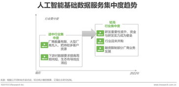 2019年中國人工智能基礎(chǔ)數(shù)據(jù)服務(wù)與行業(yè)應(yīng)用系統(tǒng)集成服務(wù)白皮書